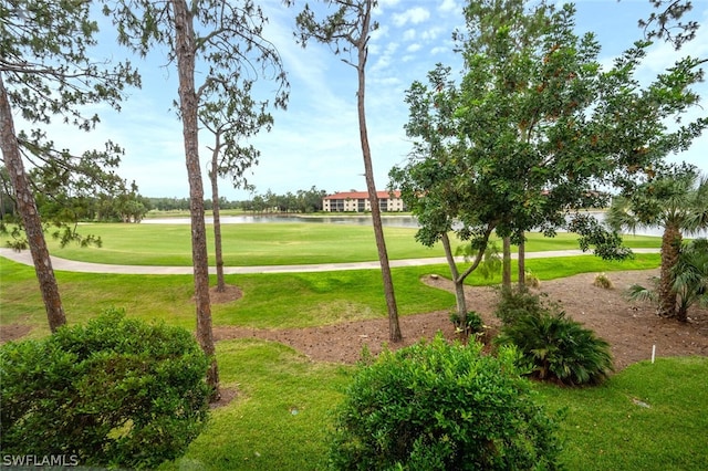 view of property's community featuring a yard