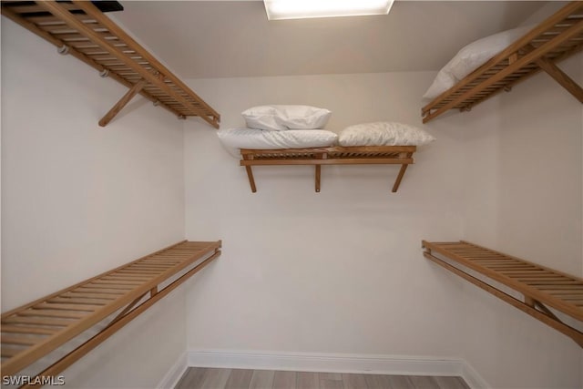 spacious closet featuring wood finished floors