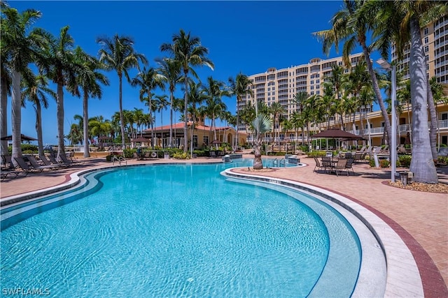 view of pool with a patio area