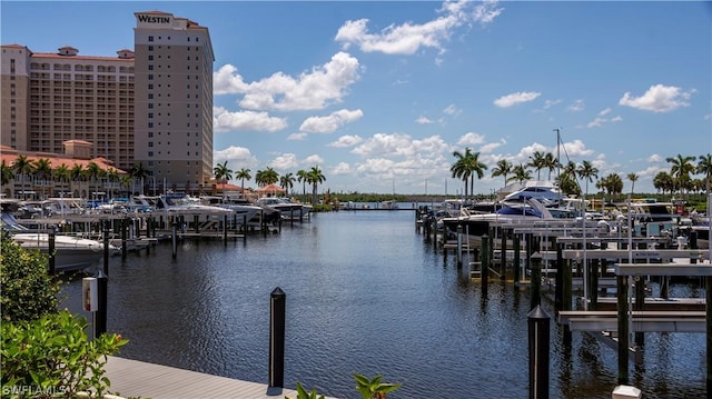 view of dock with boat lift and a water view