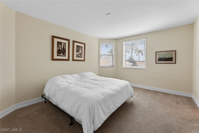 bedroom with carpet flooring