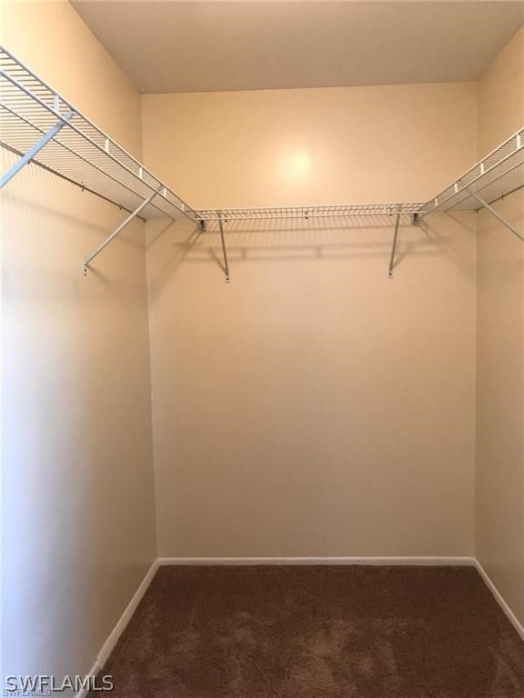 walk in closet with carpet floors