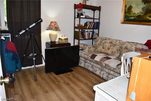 living room featuring hardwood / wood-style floors