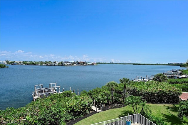 water view featuring a boat dock