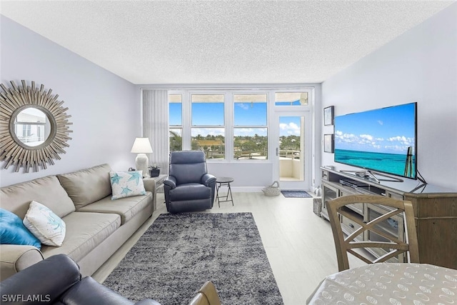 living room featuring a textured ceiling and hardwood / wood-style flooring