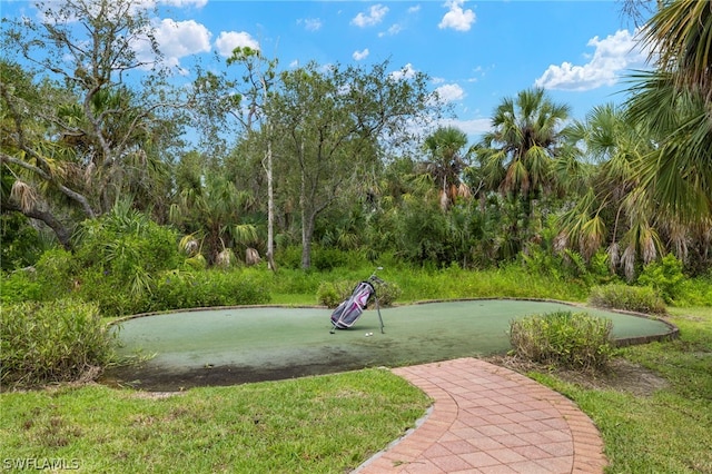 15401 Old Wedgewood Ct, Fort Myers, FL 33908 - view of surrounding community