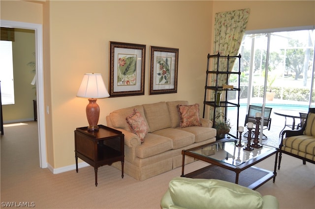 carpeted living room with plenty of natural light