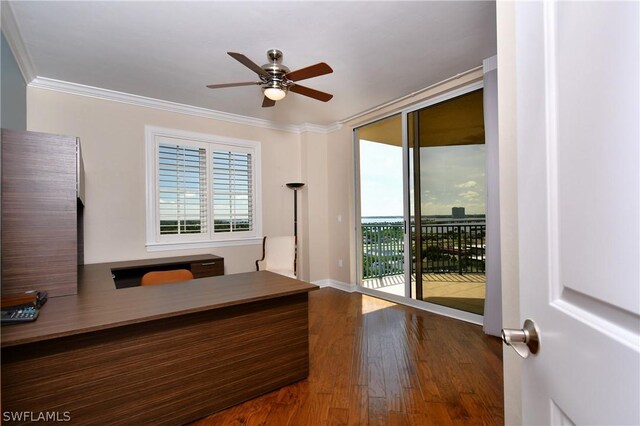 office with ceiling fan, dark hardwood / wood-style floors, and crown molding