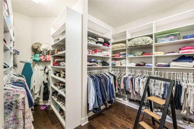 spacious closet with dark hardwood / wood-style flooring