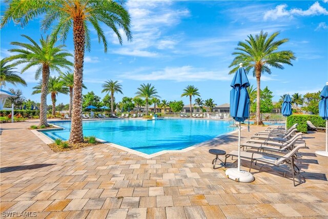 view of pool featuring a patio area