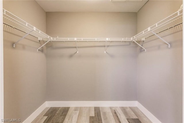 spacious closet with wood-type flooring