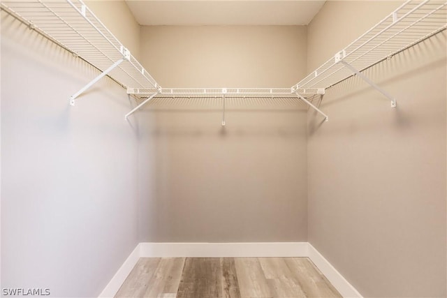 walk in closet featuring hardwood / wood-style flooring