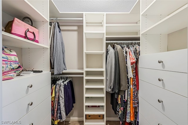 view of spacious closet