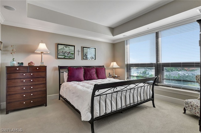 bedroom featuring a tray ceiling and light carpet