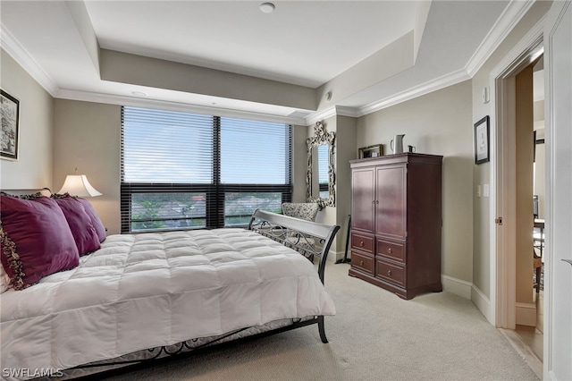 carpeted bedroom with a tray ceiling