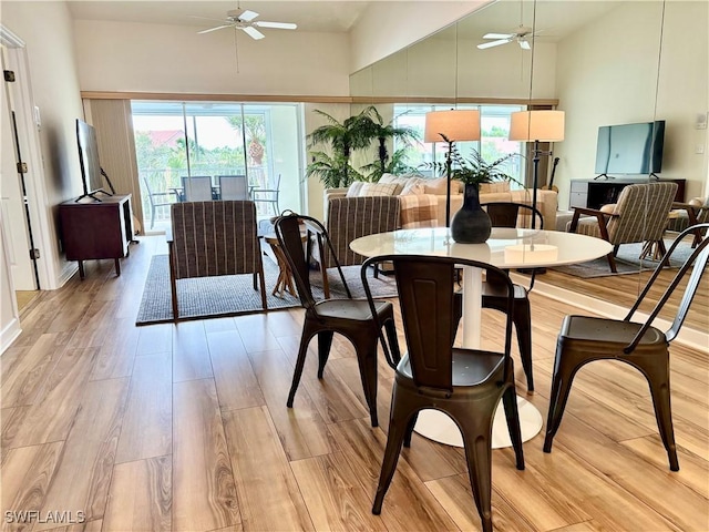 dining space with ceiling fan and light wood-type flooring