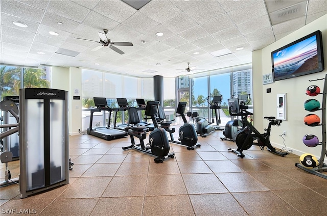 gym featuring a paneled ceiling, expansive windows, plenty of natural light, and ceiling fan