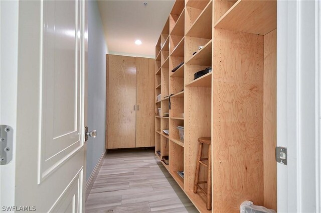 spacious closet with light hardwood / wood-style floors