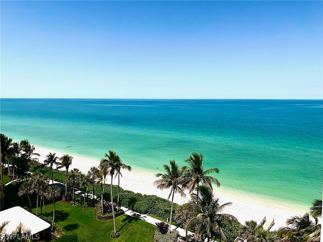 view of water feature featuring a beach view