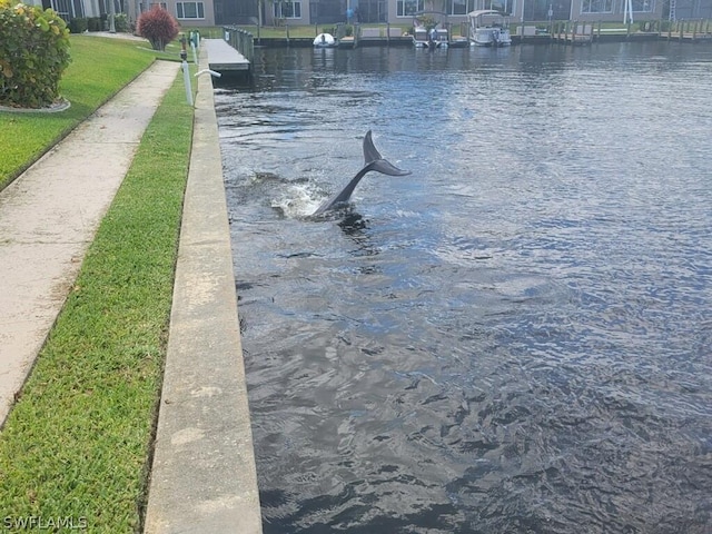 view of water feature featuring a boat dock