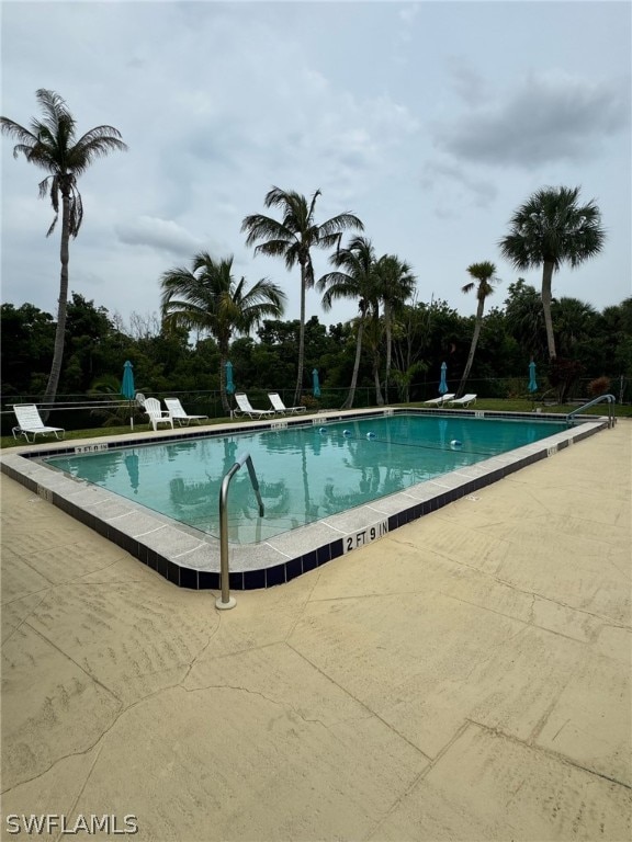 view of swimming pool with a patio