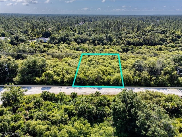 253 Thornton Ave S, Lehigh Acres FL, 33974 land for sale