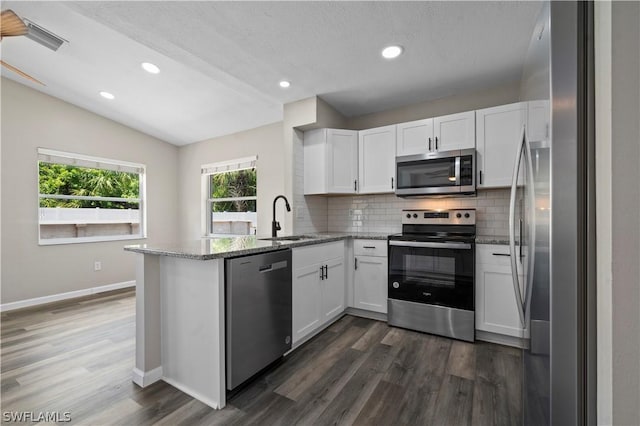 kitchen with a peninsula, appliances with stainless steel finishes, light stone counters, and a sink