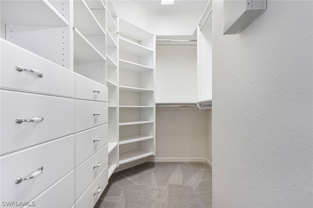 walk in closet featuring carpet