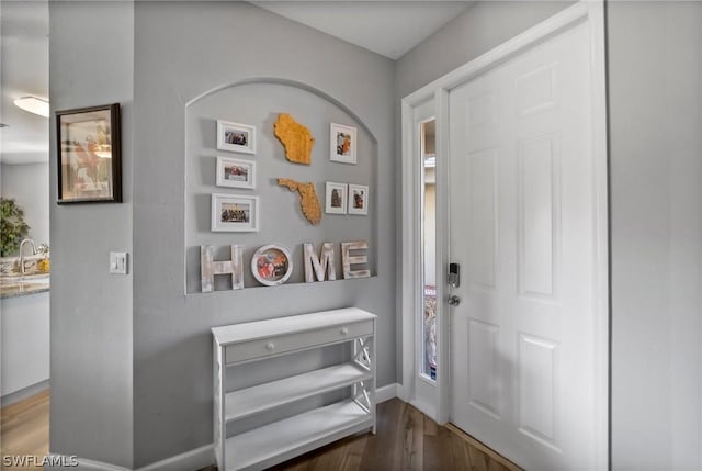 foyer with hardwood / wood-style floors and sink