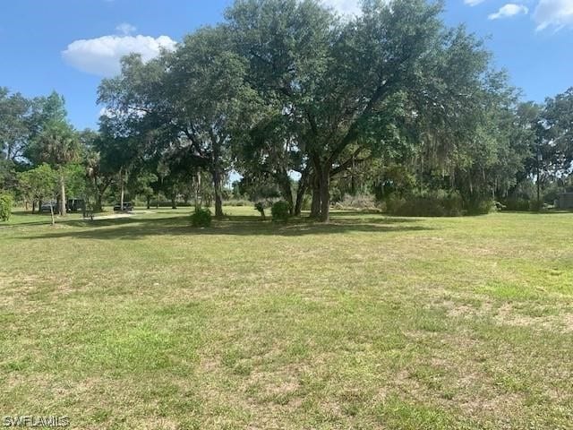 21390 Palm Beach Blvd, Alva FL, 33920 land for sale