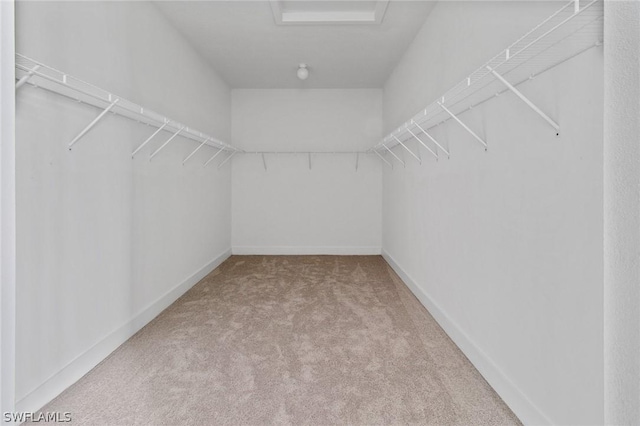 spacious closet with carpet floors