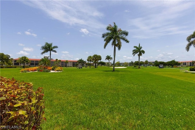 surrounding community featuring a lawn