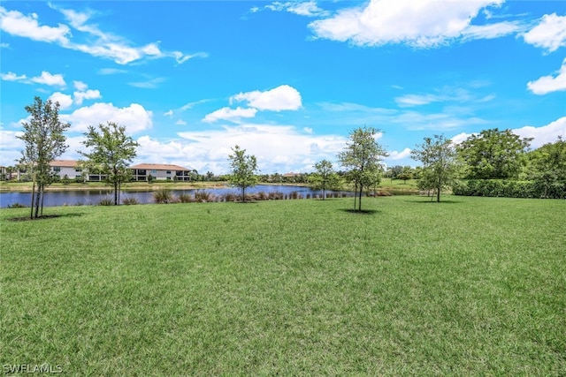 view of yard with a water view