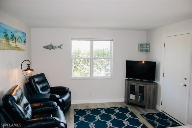 sitting room featuring hardwood / wood-style flooring