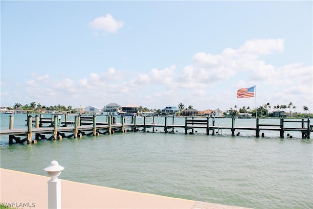 dock area with a water view