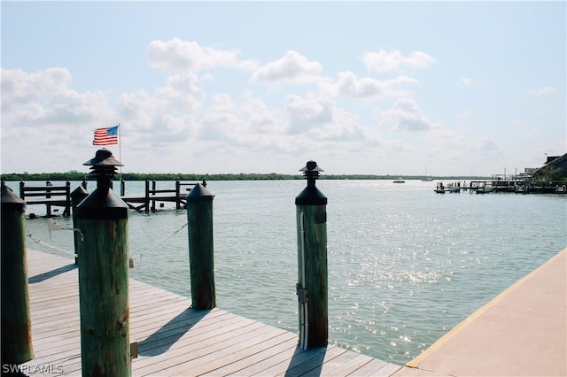 dock area with a water view