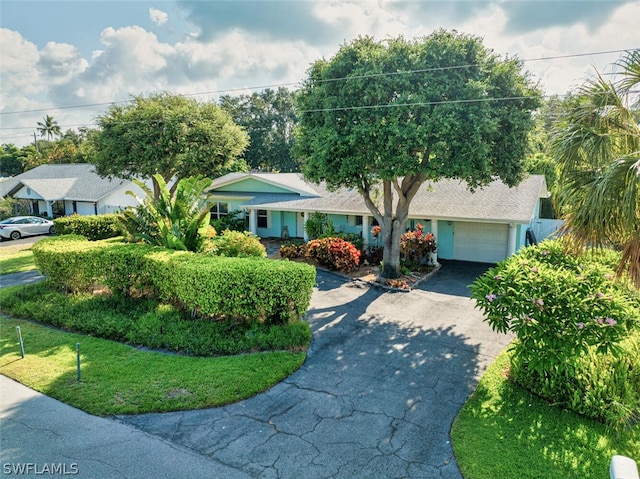 ranch-style home with a garage and a front lawn