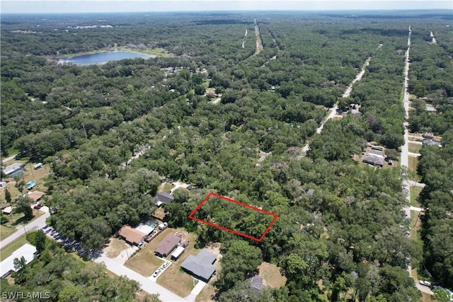 3067 Christopher Ln, Inverness FL, 34453 land for sale