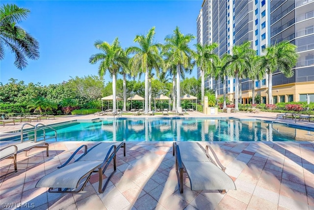 view of swimming pool featuring a patio area