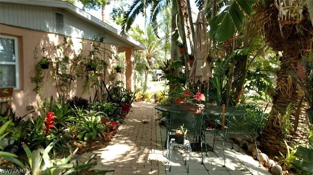 view of yard with a patio