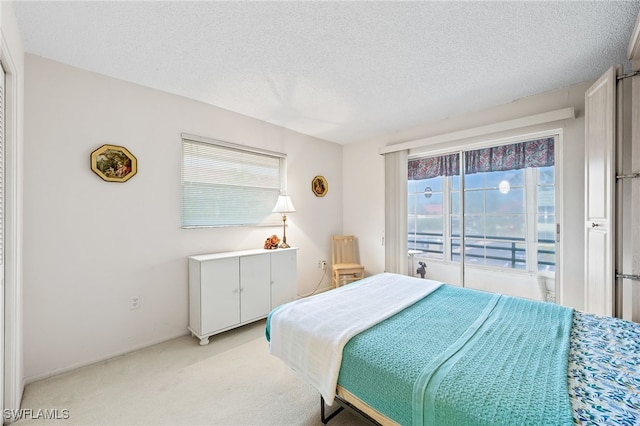 carpeted bedroom with a textured ceiling and multiple windows