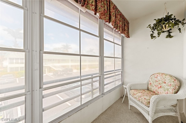 interior space with carpet flooring