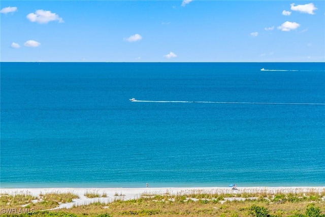 water view featuring a view of the beach