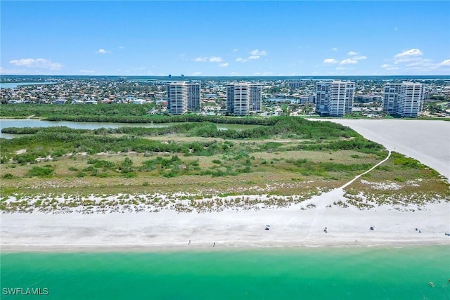 aerial view featuring a city view and a water view