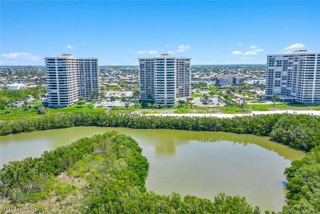 birds eye view of property featuring a city view and a water view