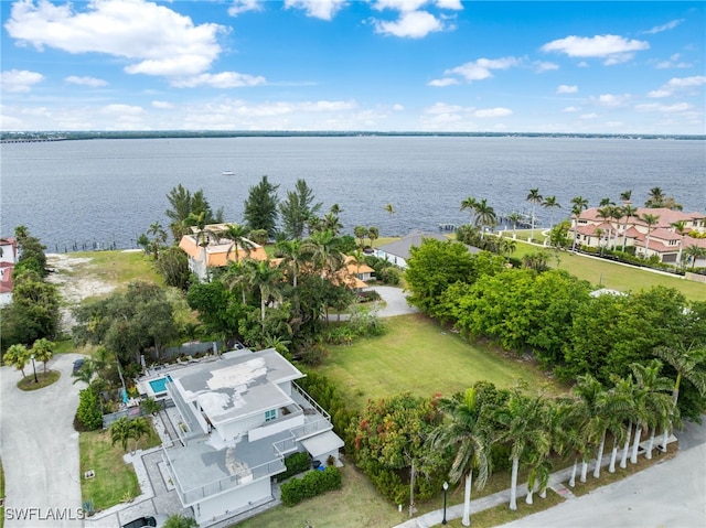 aerial view with a water view