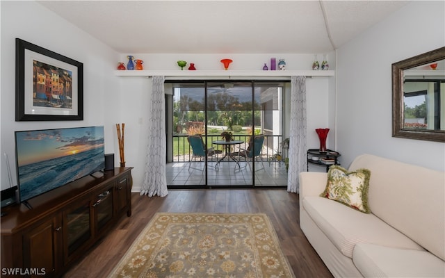 living room featuring dark wood-type flooring