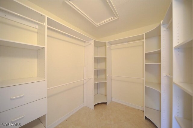 view of spacious closet