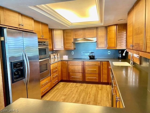 kitchen with appliances with stainless steel finishes, a raised ceiling, crown molding, sink, and light hardwood / wood-style flooring