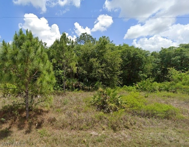 1212 Roosevelt Ave, Lehigh Acres FL, 33972 land for sale